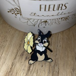 Pin’s Disney panpan