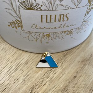 Pin’s montagnes