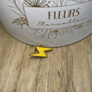 Pin’s éclaire