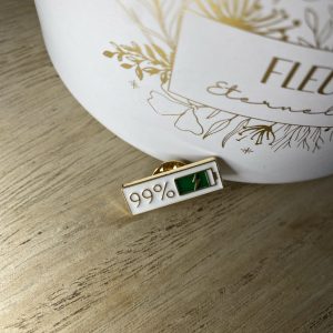 Pin’s énergie 99%